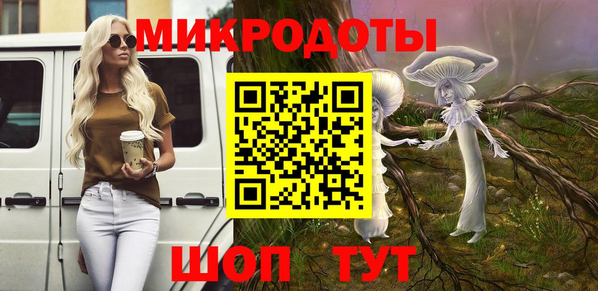 Камень-на-Оби  Псилоцибиновые грибы Cubensis  Вход с VPN 