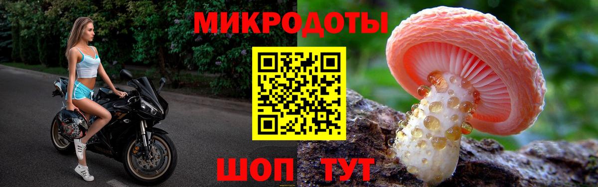 Псилоцибиновые грибы ЛСД Камень-на-Оби